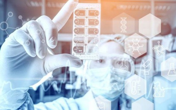 Kiện toàn thành viên Ban Chỉ đạo quốc gia về phát triển ngành Dược Việt Nam