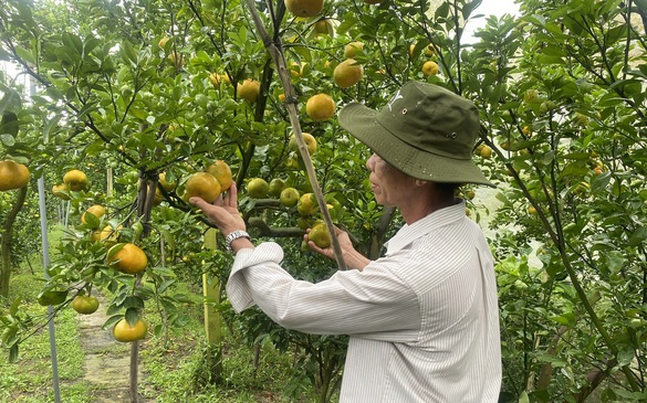 11 tháng, xuất khẩu nông, lâm, thủy sản vượt kỷ lục năm 2024