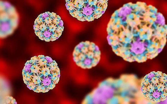 Bộ 3 bảo vệ khỏi HPV: Tiêm chủng, xét nghiệm tầm soát định kỳ và theo dõi kịp thời