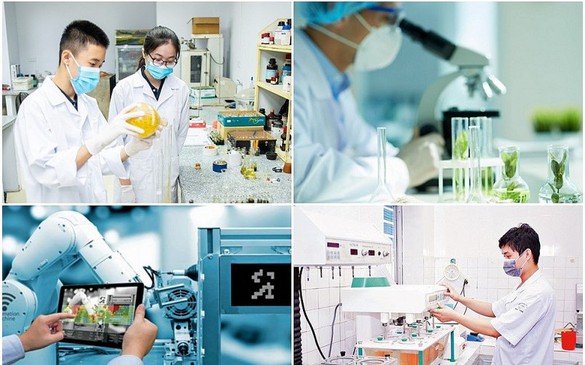 Tiêu chí hỗ trợ hoạt động nâng cao năng lực khoa học và công nghệ