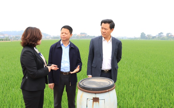 Mô hình chính quyền hai cấp: Tăng hiệu lực thực thi pháp luật môi trường từ thành phố đến cơ sở