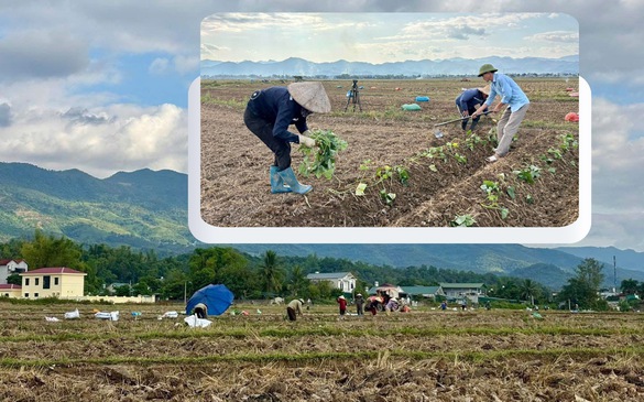 Khởi sắc mùa vụ mới - Nâng cao sinh kế đồng bào vùng cao
