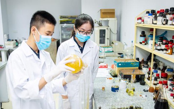 Khuyến khích thanh niên tích cực tham gia phát triển khoa học công nghệ, đổi mới sáng tạo, chuyển đổi số
