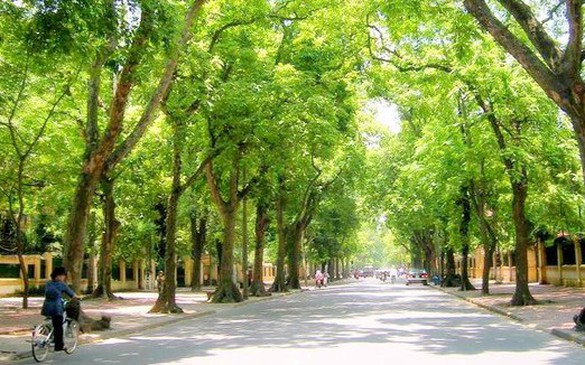 Bước ngoặt xanh quan trọng vì phát triển bền vững