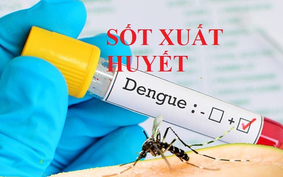Thủ tướng yêu cầu tăng cường phòng, chống bệnh sốt xuất huyết