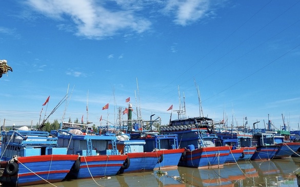 Quảng Ngãi xử lý nghiêm hành vi môi giới đưa tàu đi khai thác trái phép