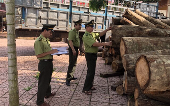 3 hình thức kiểm tra, truy xuất nguồn gốc lâm sản