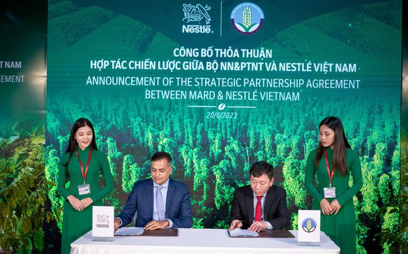 Nestlé strengthens collaboration with partners to advance regenerative agriculture in Viet Nam

