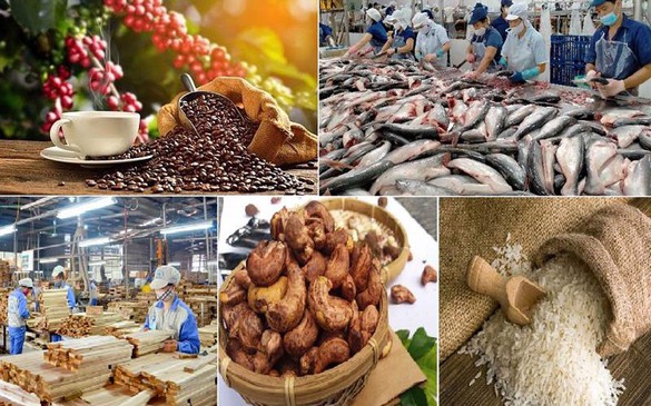 Agro-forestry-fisheries sector enjoys trade surplus of over US$8 bln