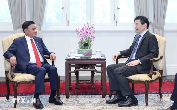 Singapore to continue accompanying Viet Nam in its development process: Prime Minister Lawrence Wong