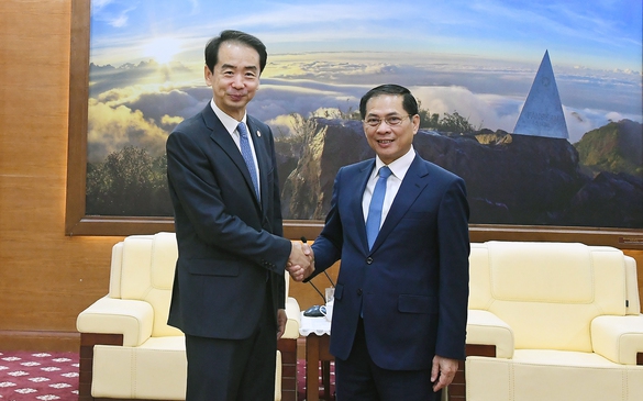 裴青山副总理会见中国驻越南大使何炜