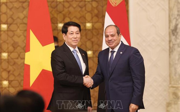 越南埃及关系提升为全面伙伴关系