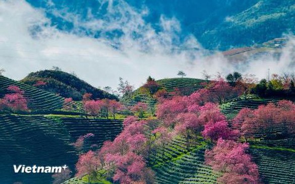 越南沙坝成为亚洲Top100旅游目的地榜单中增长最快的旅游胜地