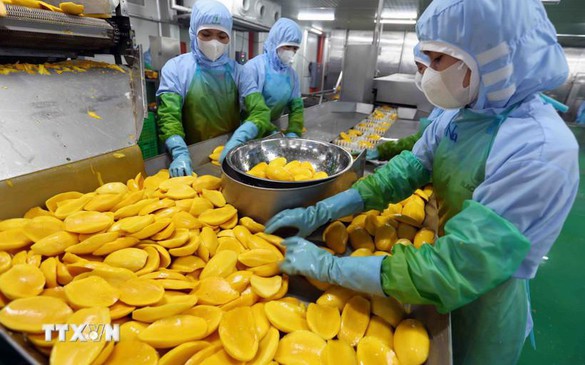 越中推进农产品贸易合作