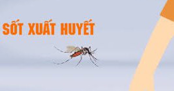 Bệnh sốt xuất huyết có thể chữa khỏi hoàn toàn được không?
