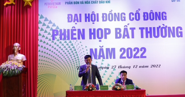 DPM chốt thông qua mức chia cổ tức năm 2022