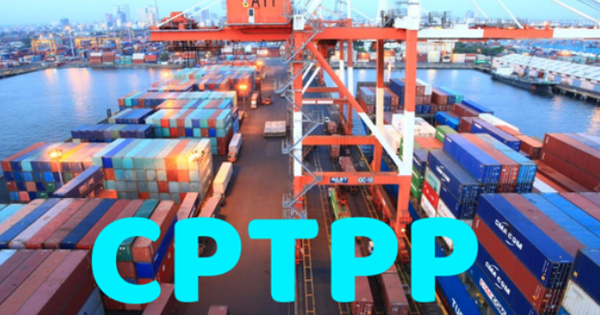 Bổ sung quy định về thuế xuất nhập khẩu ưu đãi theo Hiệp định CPTPP áp dụng đối với Peru