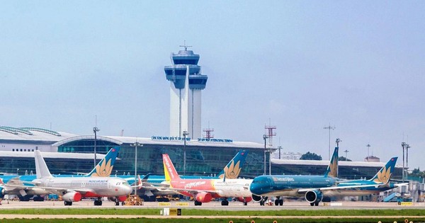 Tai Nạn Máy Bay Tại Sân Bay Sugar Valley: Con Rùa Trên Đường Băng Gây Hậu Quả Thảm Khốc