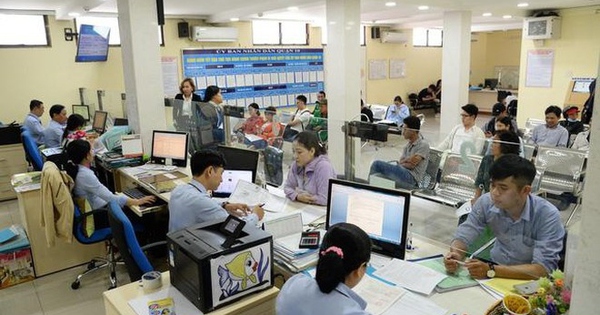 Từ ngày 1/9/2024, áp dụng quy định mới về số lượng cấp phó của các cơ quan, đơn vị