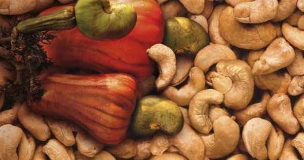 Khám Phá Nông Sản NAVINUTS Hạt Điều Chất Lượng Cao