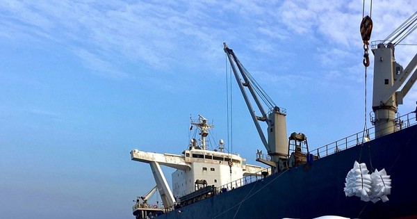 Phân bón Cà Mau khai Xuân xuất khẩu 100.000 tấn urê
