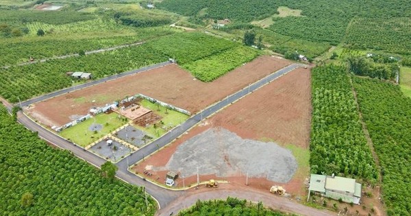 Tranh Chấp Đất Đai Tại TP.HCM: Gia Đình Nghi Ngờ Hàng Xóm Xây Nhà Trên Đất Của Mình