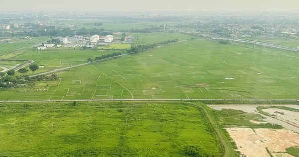 Nghị định của Chính phủ về giảm tiền thuê đất năm 2024