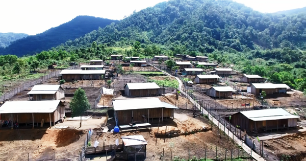 baochinhphu.vn
