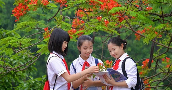 Thủ tướng chỉ đạo 3 vấn đề nóng trong giáo dục