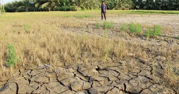 Bản Đồ Hạn Hán Số: Giải Pháp Thông Minh Ứng Phó Khô Hán Việt Nam