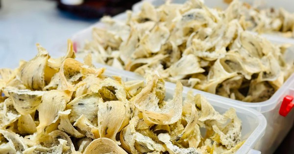 Cơ hội và thách thức xuất khẩu tổ yến sang Trung Quốc