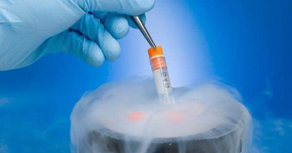 Tiết lộ Quy Trình Sàng Lọc Sức Khỏe Người Đón Nhận Tinh Trùng, Noãn, Phôi: Thông Tư Mới Của Bộ Y Tế