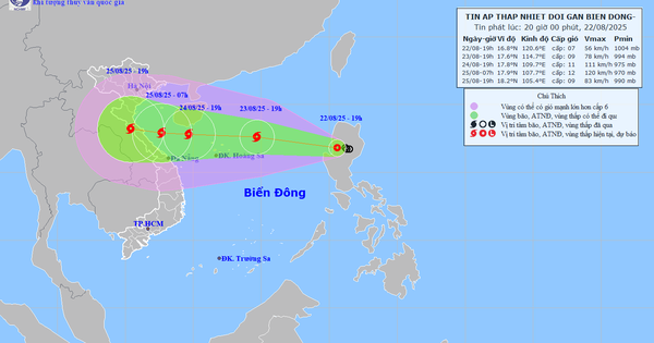 Chủ động ứng phó áp thấp nhiệt đới có khả năng mạnh lên thành bão