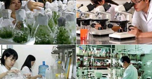 Thủ Tục Thành Lập Tổ Chức Khoa Học Công Nghệ: Điều Kiện & Quy Định Mới Nhất 2024
