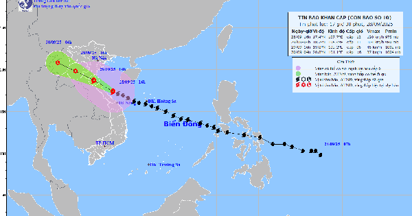 Bão số 10 đổ bộ đất liền sáng sớm 29/9, cảnh báo gió mưa lớn, gió giật dữ dội