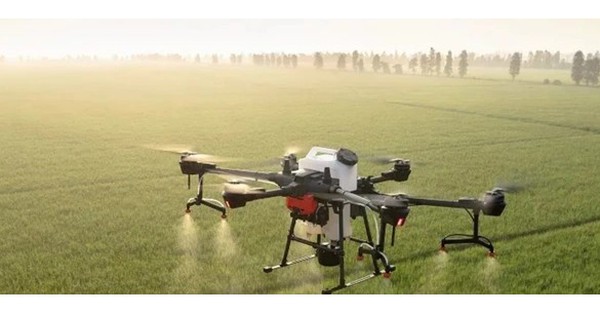 Ban hành Danh mục thuốc bảo vệ thực vật