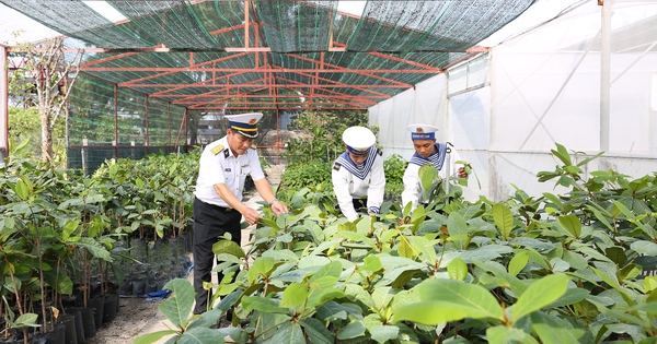 Những ‘cột mốc xanh’ ở Trường Sa