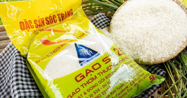 Vietnamese rice ST25 named world's best rice 2023