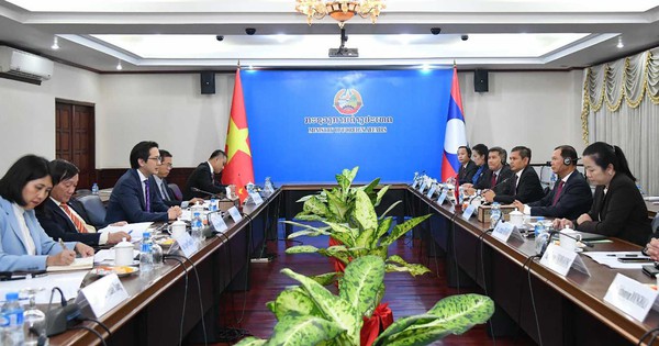 National Consultation Workshop In Viet Nam Marks A Key Milestone In The