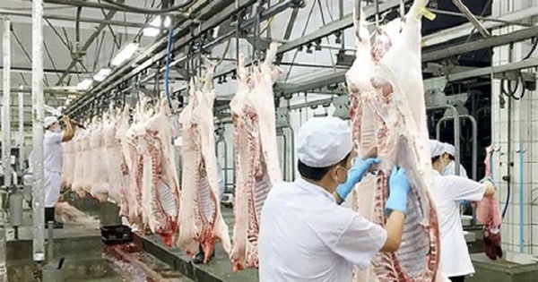 Viet Nam eyes US$1.5 billion in export turnover of livestock exports by ...