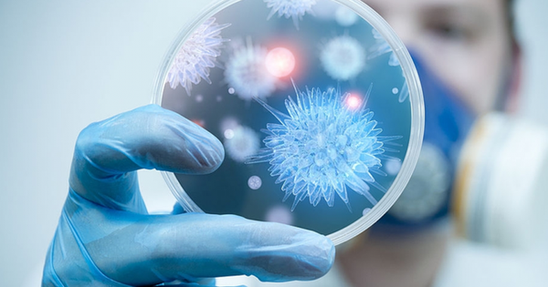 베트남 정부 포털의 니파 바이러스 경계 관련 이미지