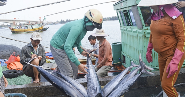 Quảng Trị tạo động lực cho ngư dân khai thác xa bờ