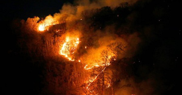 Cháy rừng Amazon - ‘cuộc khủng hoảng’ toàn cầu?