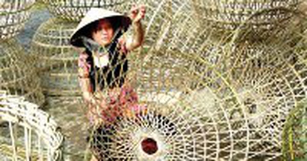 Developing Indochina rattan industry