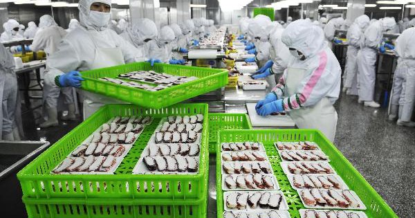 Aquatic export on the rise