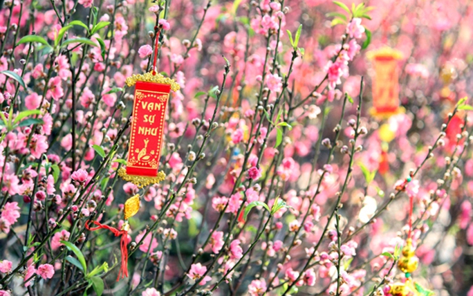 State President Luong Cuong extends 2026 Lunar New Year greetings