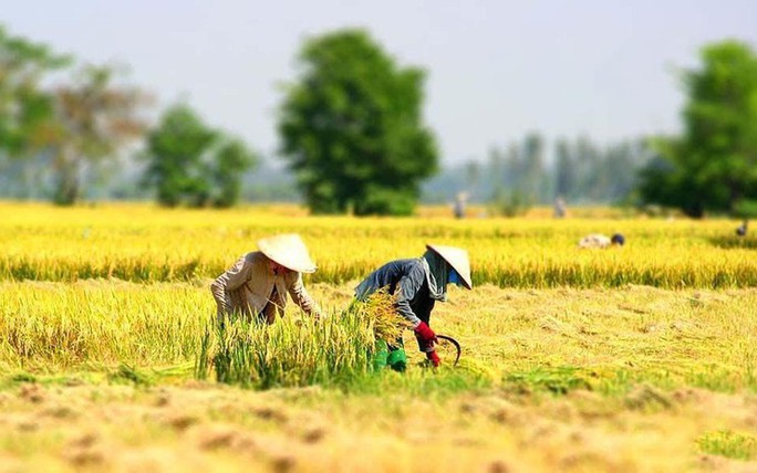 Viet Nam targets to train around 1.5 million rural adults annually through 2030