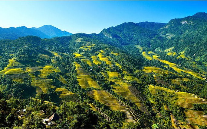 Viet Nam home to 36 national parks
