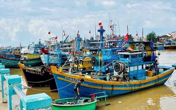 Shortcomings in IUU fishing combat must be fixed comprehensively