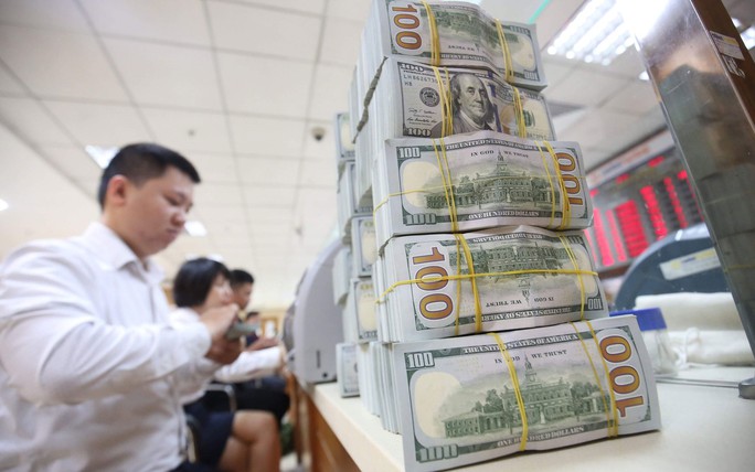 Viet Nam's foreign exchange reserves hit US$87.6 bln